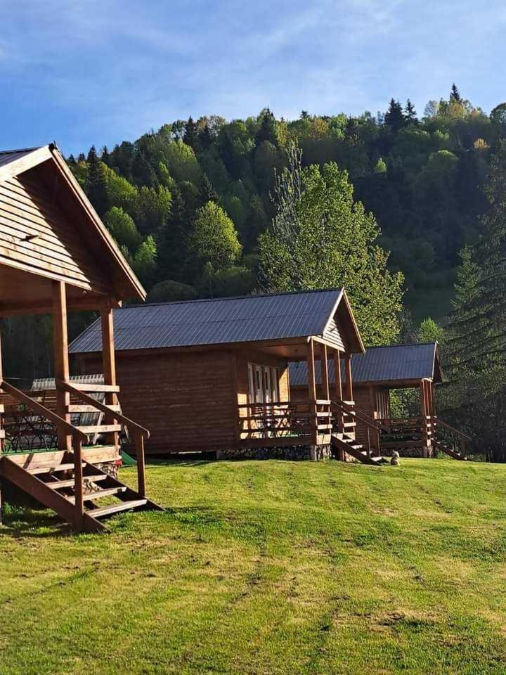 Cabane Areama Neagra Izvoru Mureşului Εξωτερικό φωτογραφία